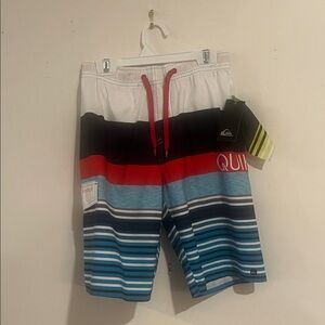 Quiksilver Multicolor Striped Swim Shorts